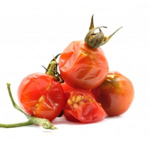 residuos orgánicos COMPOST / BIOGAS